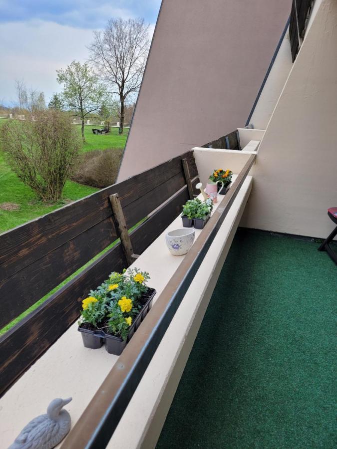 Ryan Apartament Mit Netflix Sankt Englmar Exterior foto